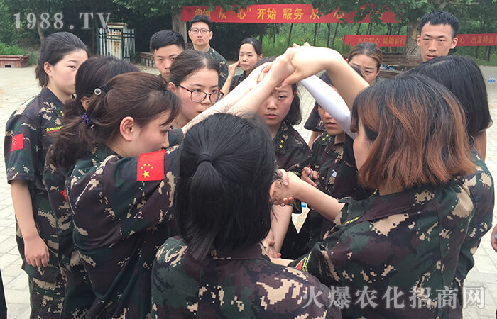 �������������ƵZǰ�С�Ӗ(x��n)���I(y��ng)��Ӗ(x��n)�w��(hu��)