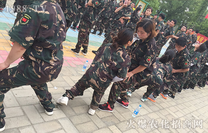 �������������ƵZǰ�С�Ӗ(x��n)���I(y��ng)��Ӗ(x��n)�w��(hu��)