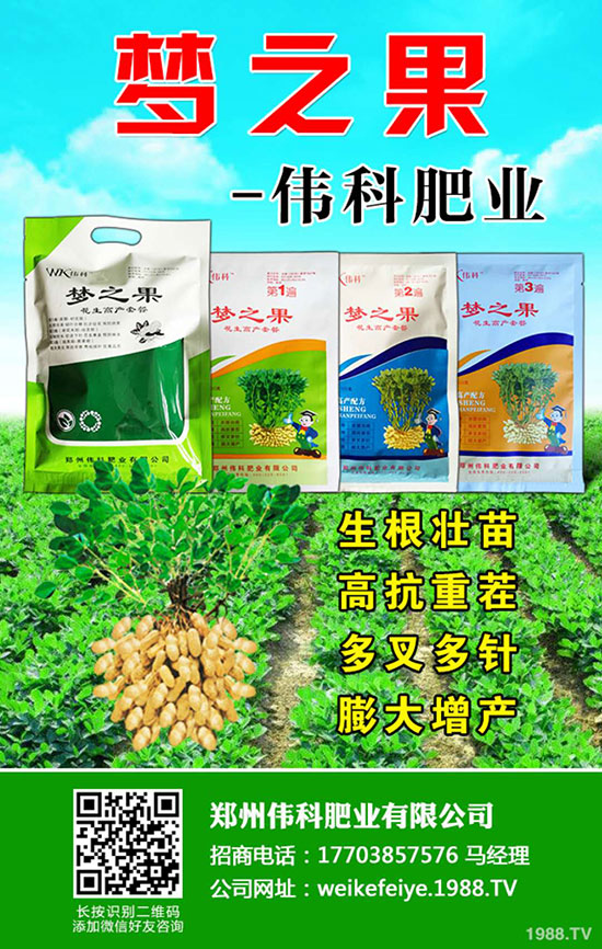     �����ƷʘI(y��)��ףȫ��(gu��)�r(n��ng)�Y��ʿ��ϲ�l(f��)ؔ(c��i)������옷(l��)��