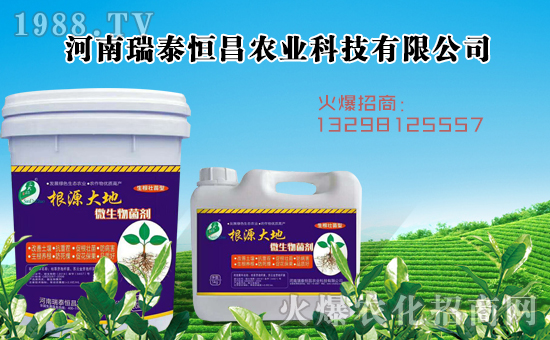     ����̩�����ȫ�w�T����ףȫ����(j��ng)�N�����w�������i�꼪����