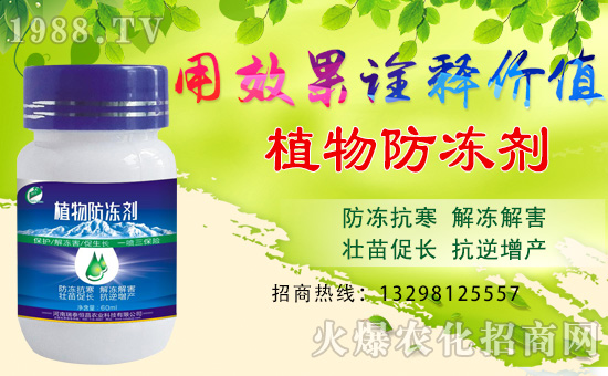     ����̩�����ȫ�w�T����ףȫ����(j��ng)�N�����w�������i�꼪����