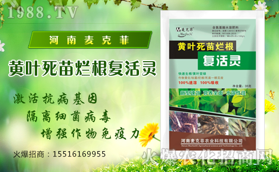 �����˷��r(n��ng)�I(y��)��ףȫ��(gu��)��(j��ng)�N�����w�������f��������