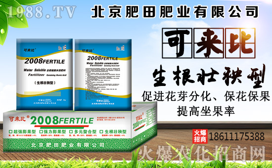 ������ʘI(y��)��ףȫ��(gu��)���Ѻ��¶�࣬Ц�ݶ����