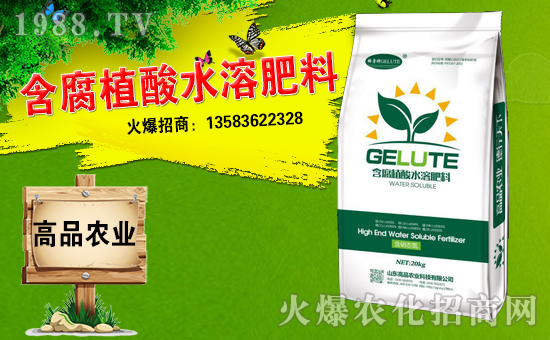 ��ɽ�|��Ʒ���o��Ұ�������ף��ؔԴ�V�M�������³����f��������