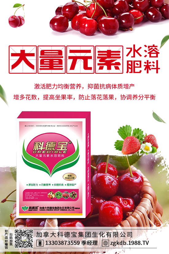 ������(ji��)�N��ᘹ����������������(ji��)��ᘹ�����������