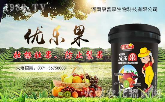 ���Ͽ���ɭ�𱬁��u���ٺ����r(n��ng)�����̾W(w��ng)�_��(chu��ng)���x����