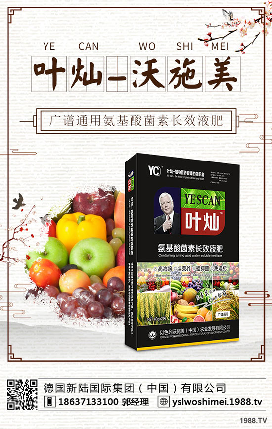 ��С����ʲô���F(xi��n)�S�������磿��С���S����������δ�ʩ��