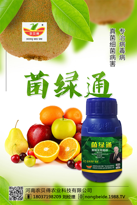 С��������_�x�N����֪������x�N�Ŀ��@����