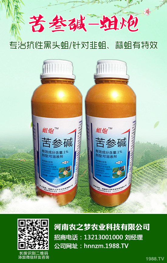 ��ĸ�ݵĹ�Ч�c���ã���ĸ�ݵ�ʹ�ý�����