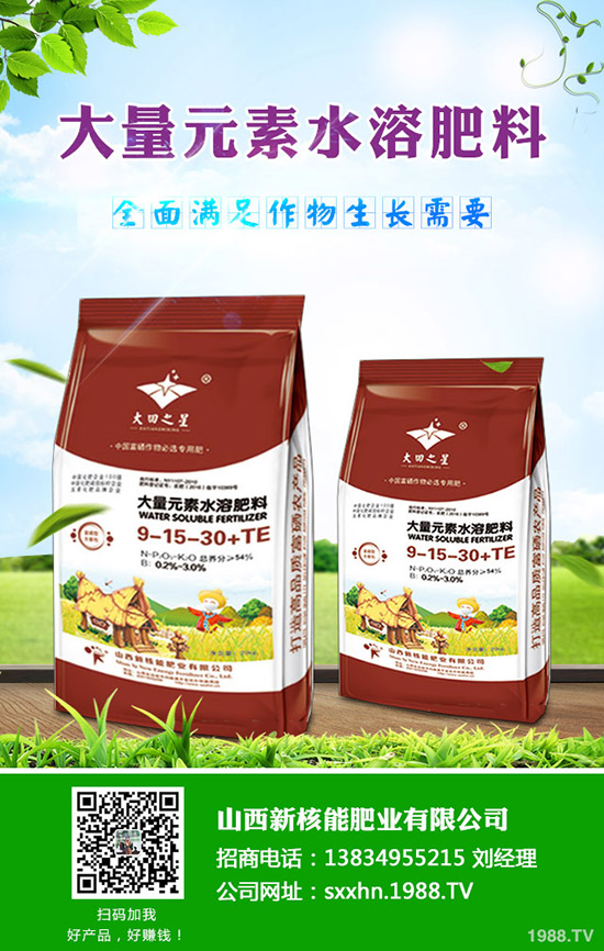     2019-10-19��(gu��)��(n��i)�Ȼ��r(ji��)�������(d��ng)�B(t��i)�������Xһ����