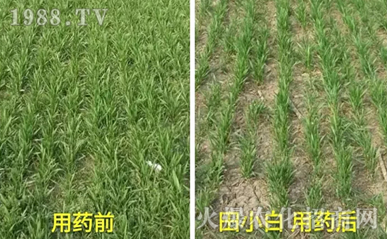 ��(ji��)��(ji��)����η�������ʲôˎ����ô��ˎЧ���ã�