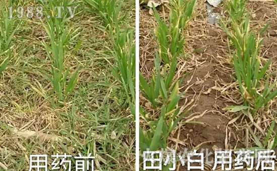 ��(ji��)��(ji��)����η�������ʲôˎ����ô��ˎЧ������