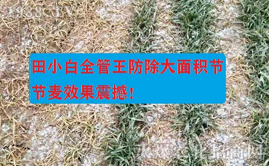 ��(ji��)��(ji��)����η�������ʲôˎ����ô��ˎЧ������