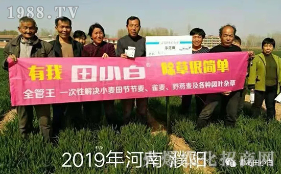 39��(ji��)��(ji��)����η�������ʲôˎ����ô��ˎЧ������