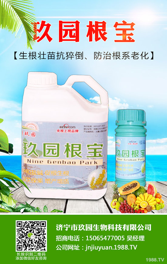 �������x��η����������x��Σ�����l(f��)��Ҏ(gu��)����