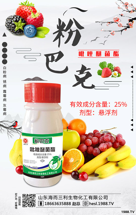 2020���J�S�Nֲǰ����ô�ӣ��J�S��ηNֲ��