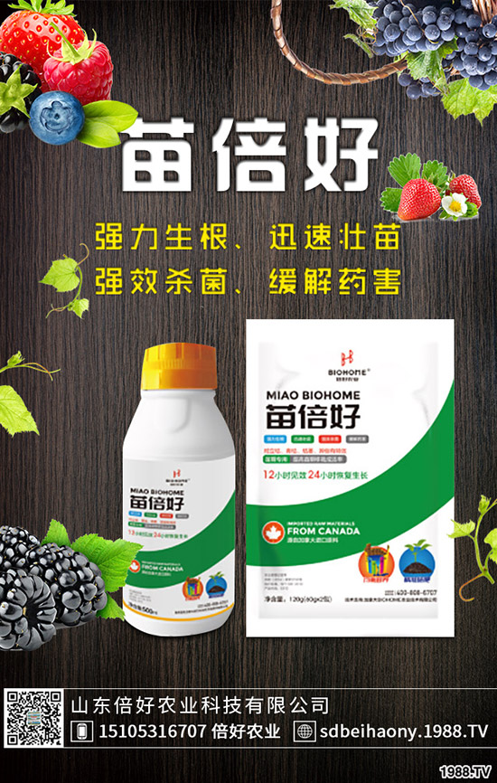 ����ʲô�r(sh��)��Nֲ������ʲô�r(sh��)�������