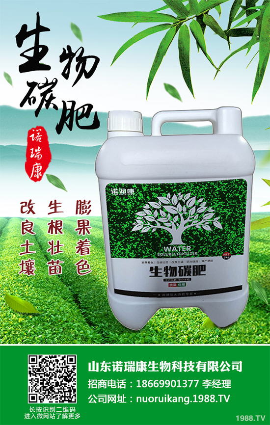 ����������ԓ��ô�N�������@���c���p�ɷN����������