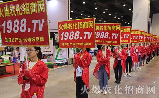 ǧ�̅R������Ʒ�Ƽ�|2019�����r(n��ng)����ʢ���_Ļ��