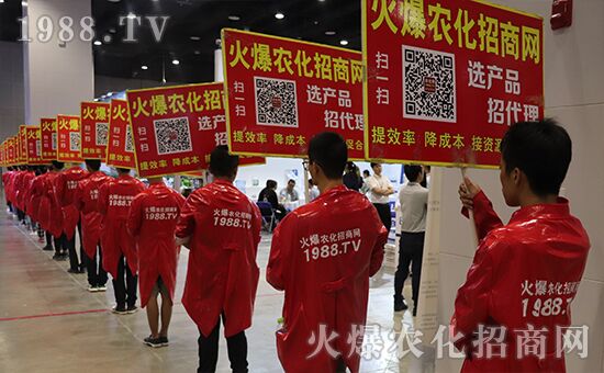 ǧ�̅R�ۣ���Ʒ�Ƽ�|2019�����r(n��ng)����ʢ���_Ļ��