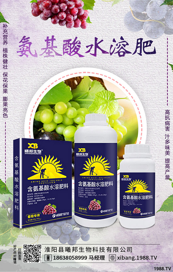 С���t����ηNֲ��С���t���ĸ߮a(ch��n)��������