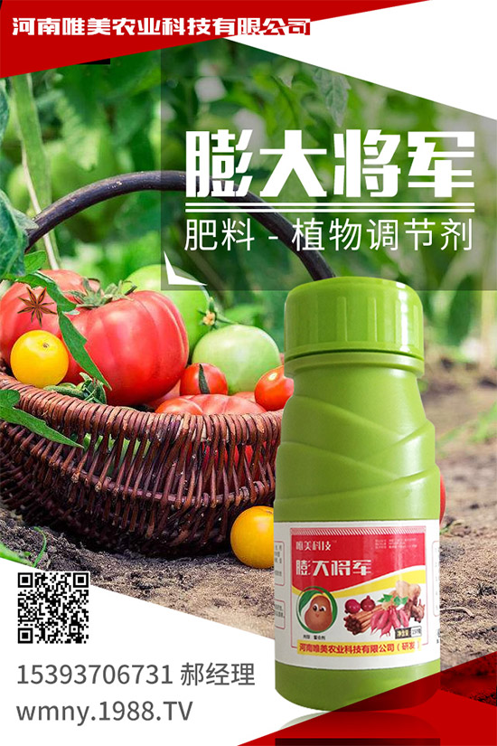 ������ô�Nֲ�������߮a(ch��n)�Nֲ����