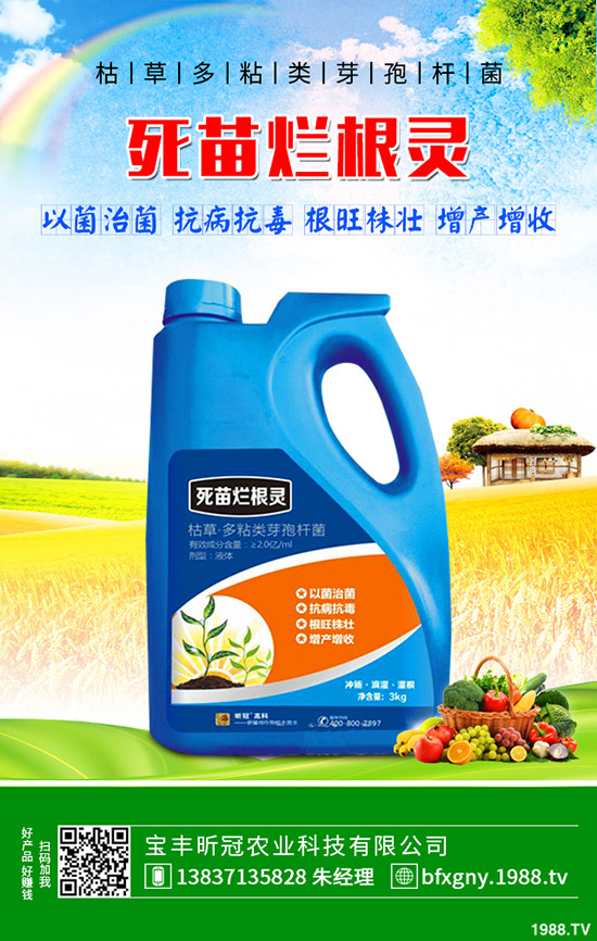 ��ô�Nֲ�_�h�����_�h���Nֲ������B��