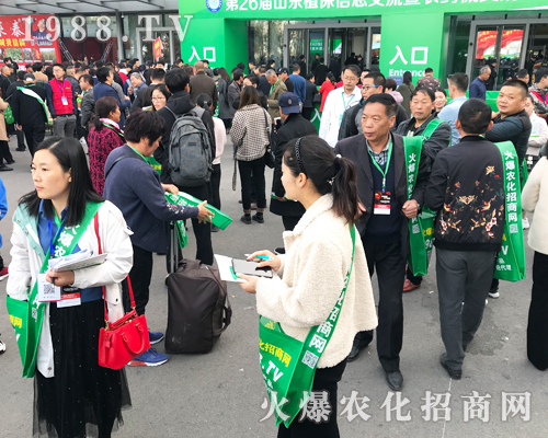     2019ɽ�|����ֲ���p�������r(n��ng)�����̾W(w��ng)��ٶ��w��