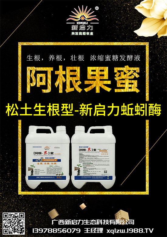 ���{(l��n)��Ä������ЩΣ��������{(l��n)�����İl(f��)���c���μ���