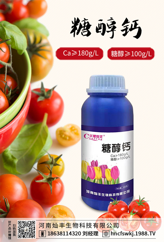 ���{(l��n)���ݲ����u������ԓ��η��������{(l��n)���ݲ����δ�ʩ