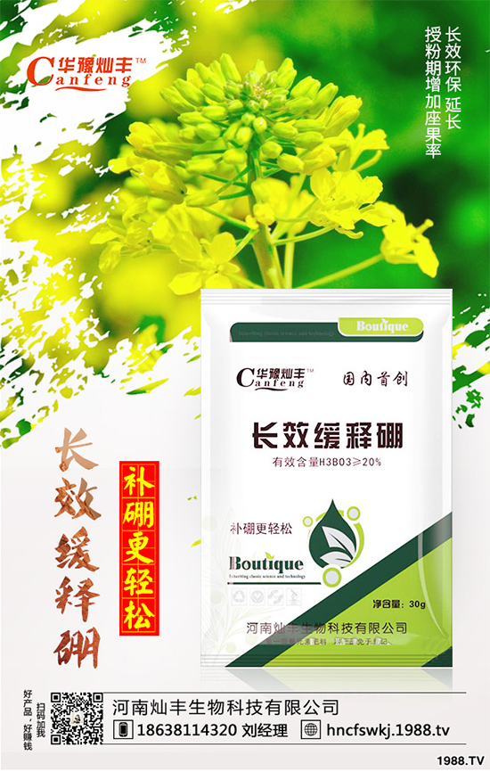 ���{(l��n)���ݲ����u������ԓ��η��������{(l��n)���ݲ����δ�ʩ