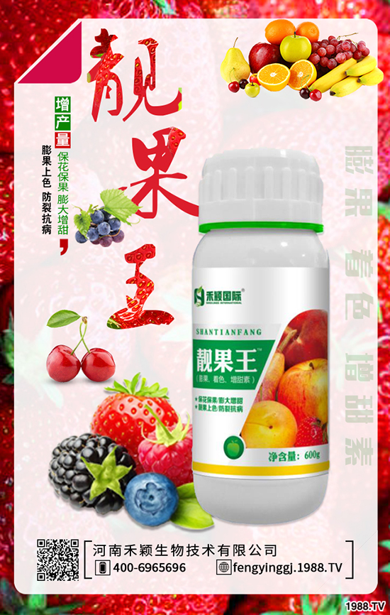 �˅����Nֲ���g(sh��)