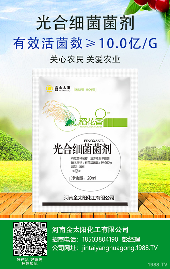 ����������ԭ�����������������k����