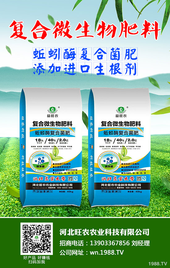 吃菠蘿蜜有什么好處，菠蘿蜜的功效與作用有哪些？