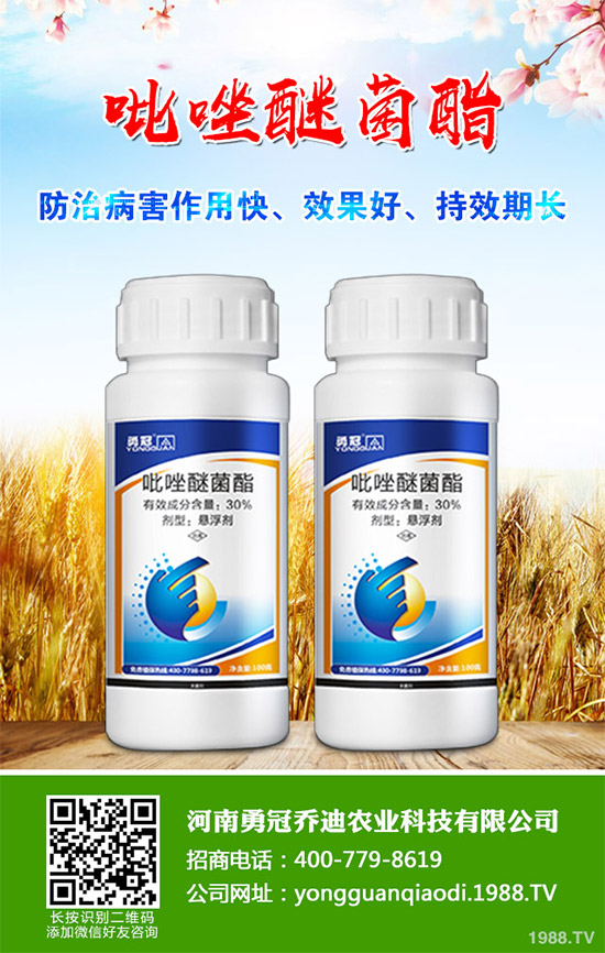     ���ܚ������r(ji��)��