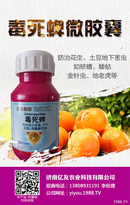     ���x���r(n��ng)ˎ�r��