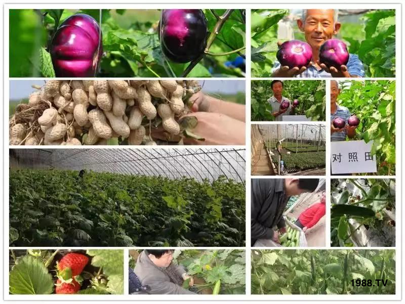 �VԴ�S����⛡�����Ʒ����1����=8���ЙC(j��)�����½�Դ�^ֱ�l(f��)������