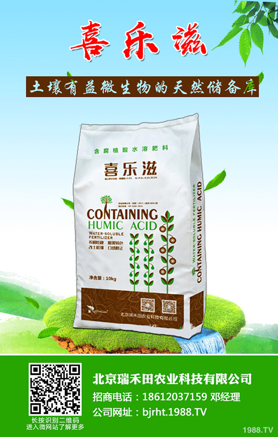 �����~Ƭ�l(f��)�S����ô���£������~Ƭ�l(f��)�S��ô������