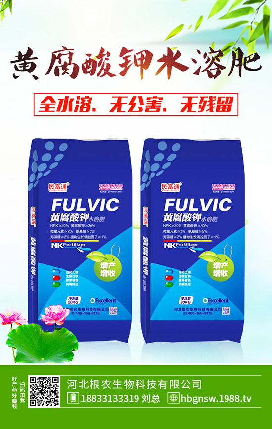 ɽ��m��ʲô�r(sh��)�g�Nֲ��ɽ髵ķNֲ������