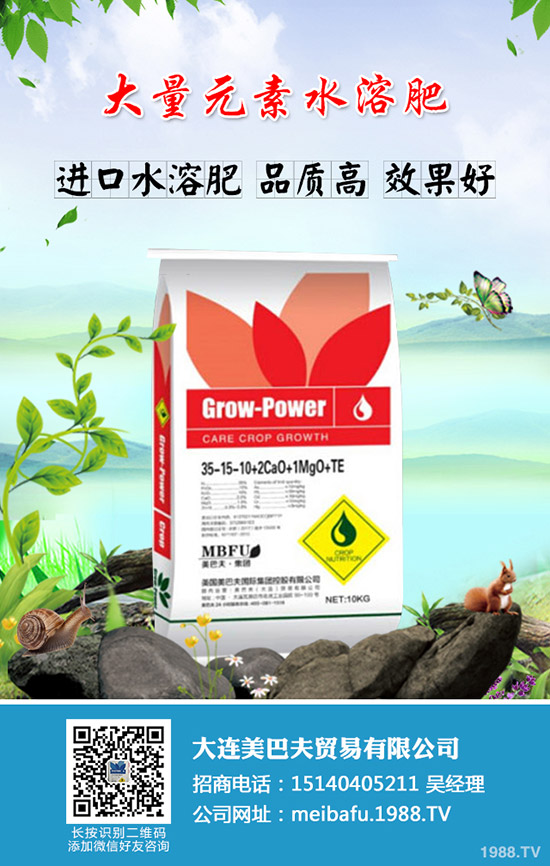     2019��11��22�ՏͺϷ�������u�µ����������ͺϷʳ��S������r��