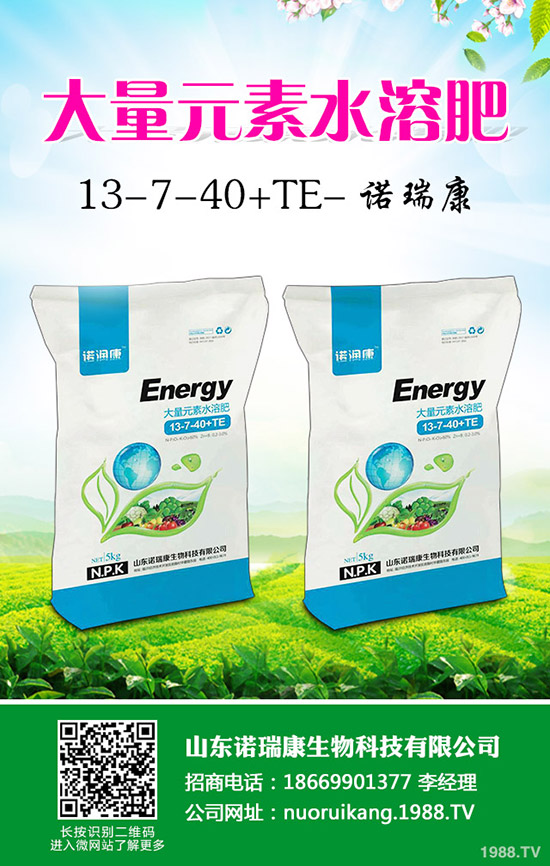     ��(gu��)��(n��i)�������镺��(w��n)��2019��11��22�ո��؅^(q��)�����������S��(b��o)�r(ji��)һ�[