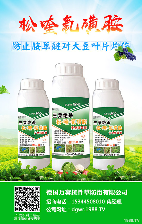 �S��ʲô�r(sh��)�g�Nֲ���S���ķNֲ��������Щ��