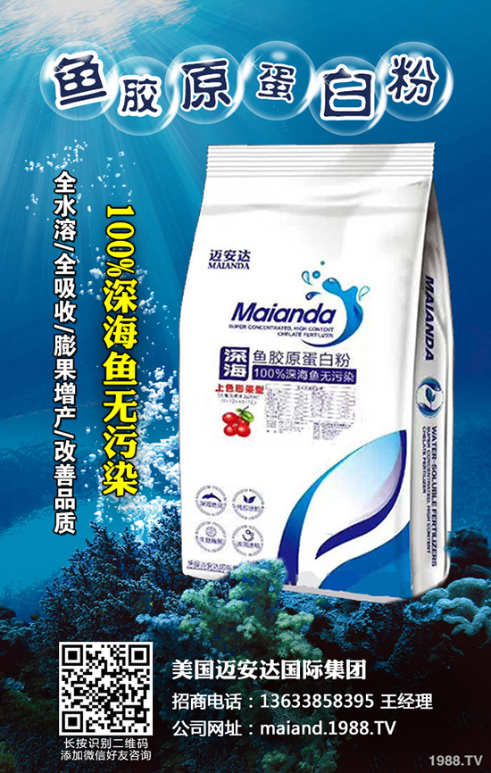     2019��11��25�Շ�(gu��)�a(ch��n)⛷�����p�٣�����⛷������߄�(sh��)������