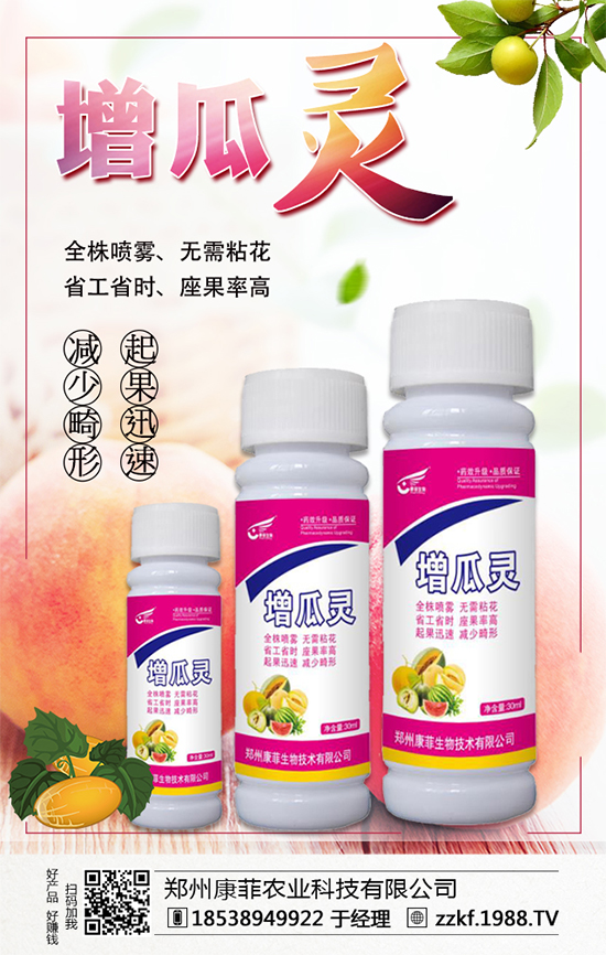 �����Ϲ���ô�Nֲ�������ϹϵķNֲ��Ҫ�c��