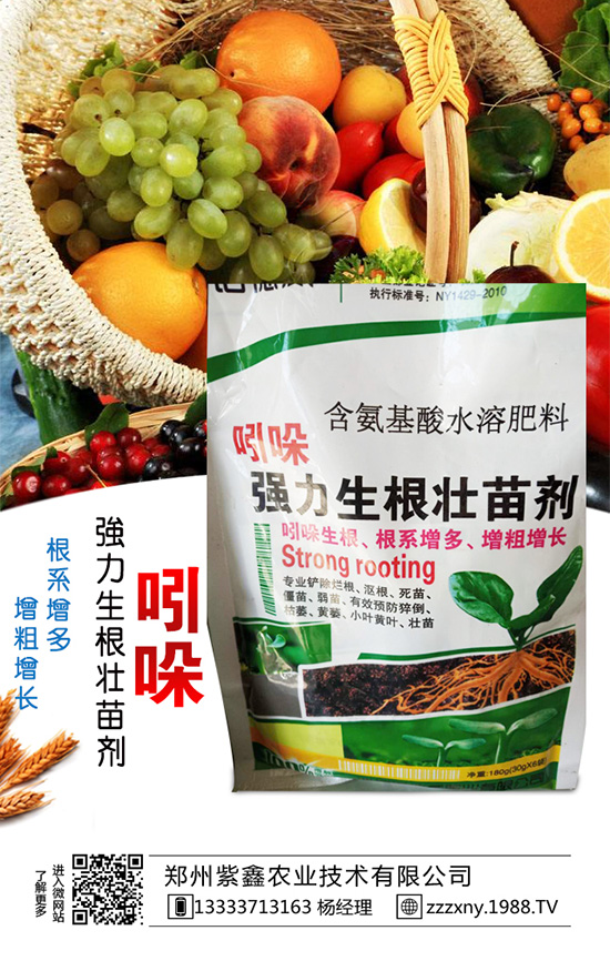 ��֥��Nֲ�r�g��ʲô�r�������֥��Nֲ�������g(sh��)��