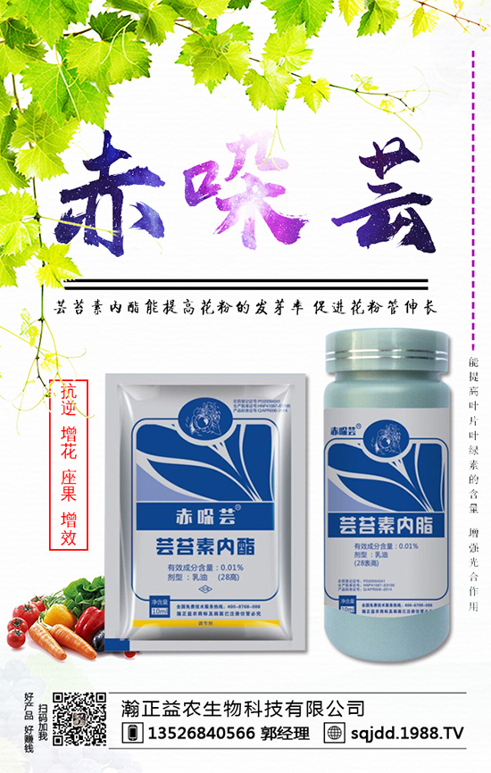 ���t����ʲô����������t��������ķ��η���