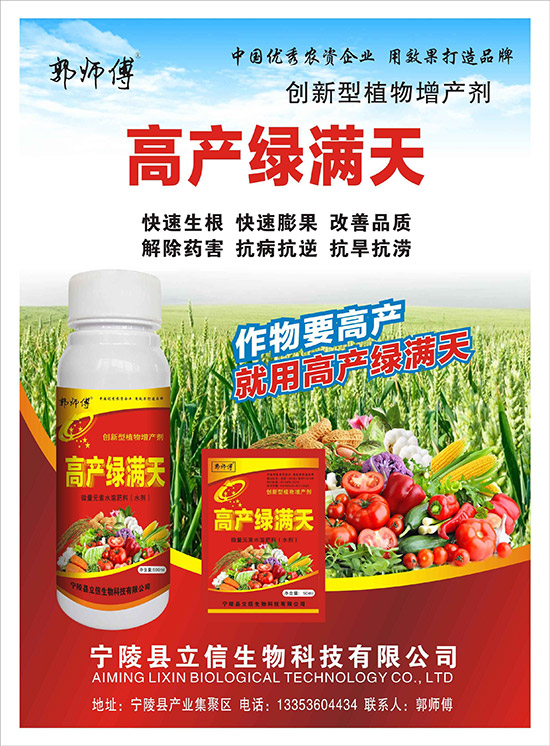 �߮a(ch��n)�G�M(m��n)��-������-��������