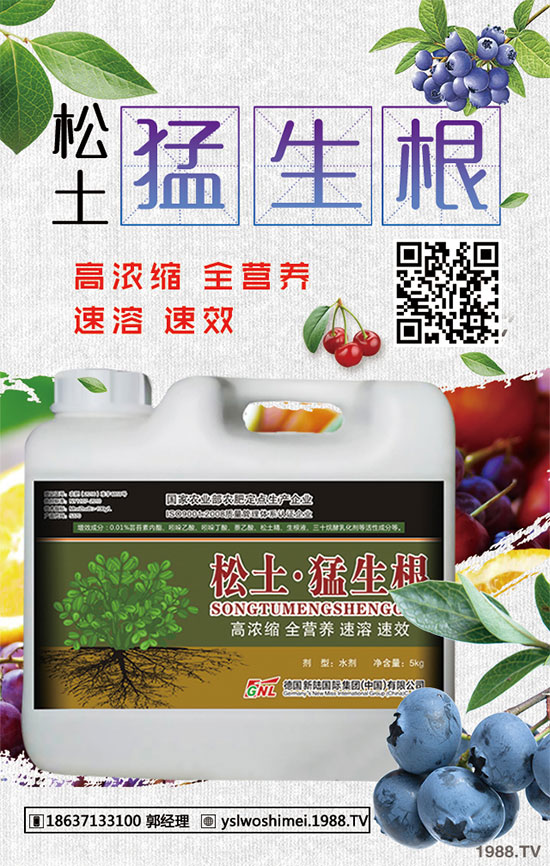 ��������Щ��Ч�����������ӵ�ʳ�ý�����