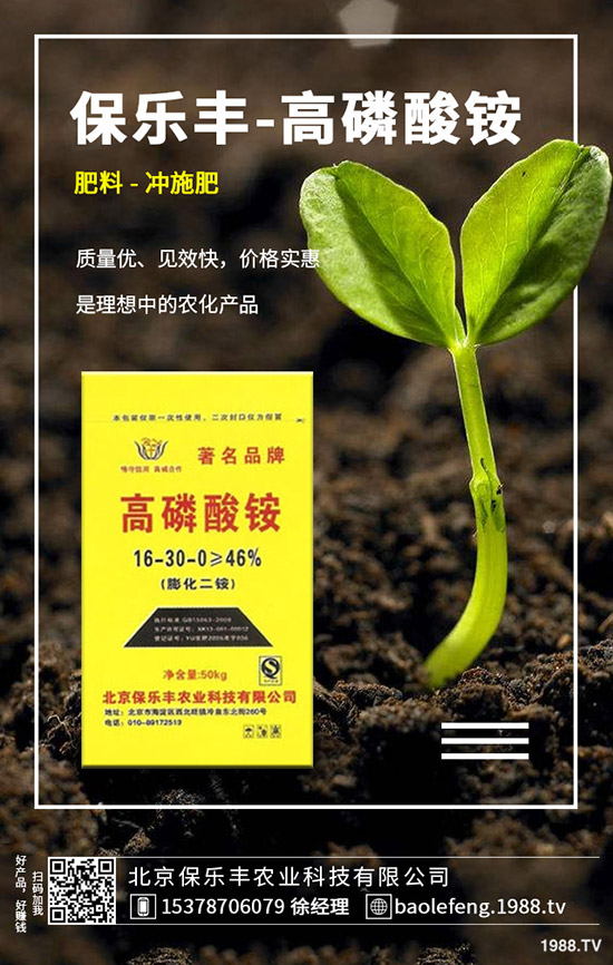 ����(n��i)���@�r����ϝq����2019.11.29���ո������@���S��r��