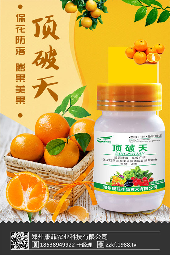 ���ٞ�ʲô���S�~�������S�~�Ľ�Q��ʩ��